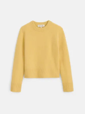 Michelle Crewneck Sweater in Cashmere