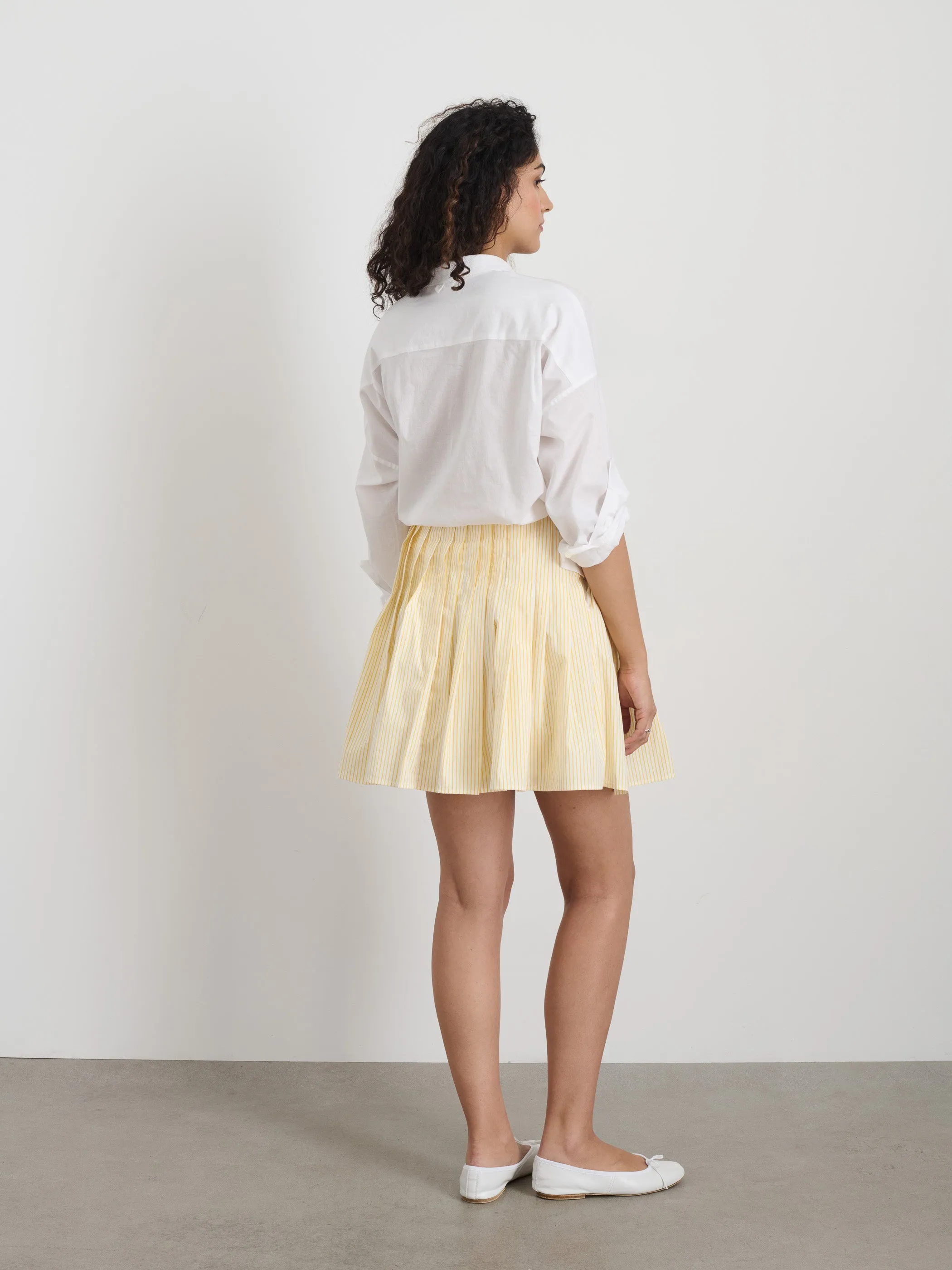 Penelope Stripe Pleated Skirt In Cotton Poplin