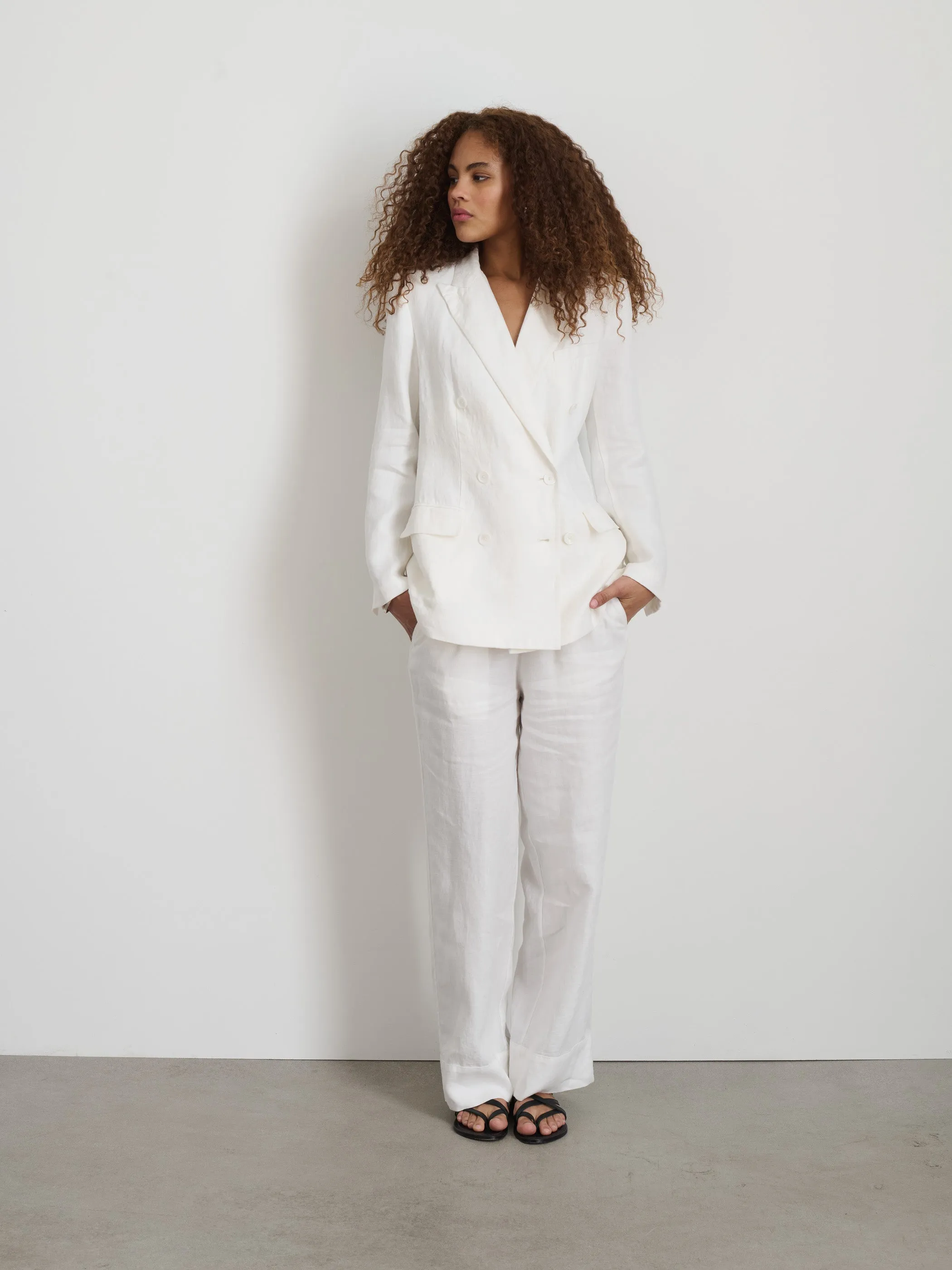Riley Pant In Linen