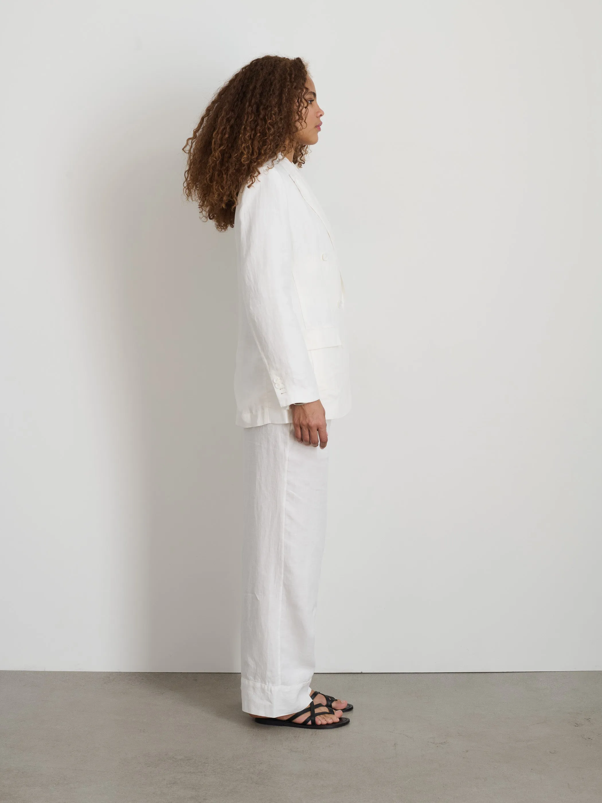 Riley Pant In Linen