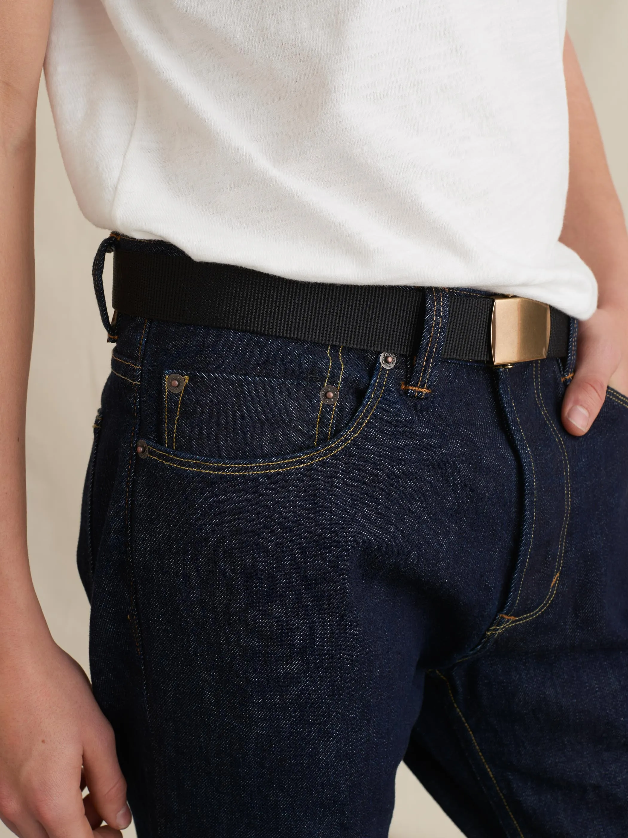 Solid Web Belt