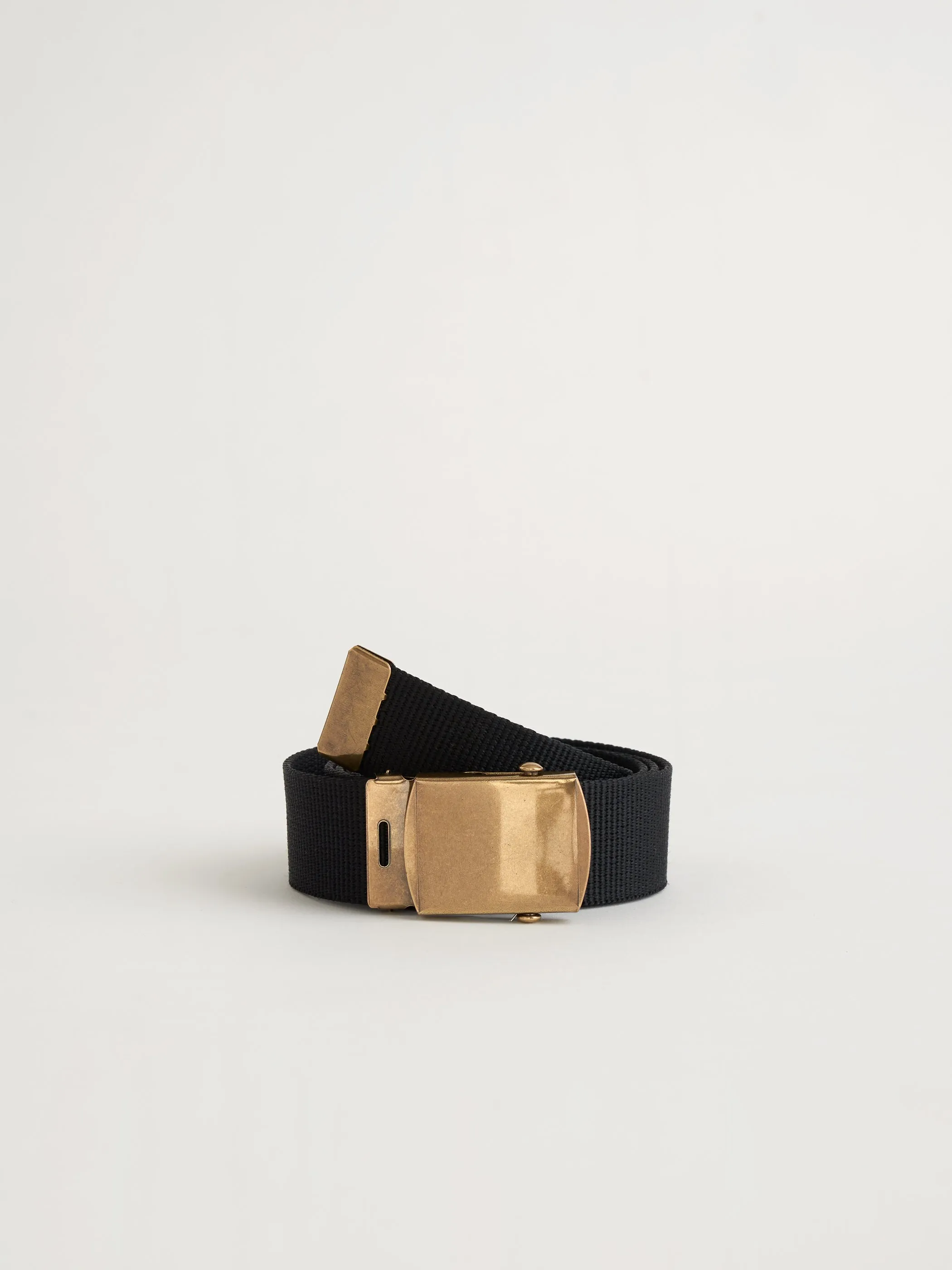 Solid Web Belt