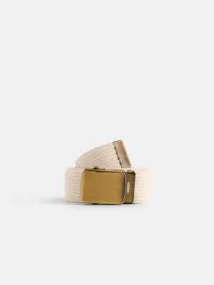 Solid Web Belt