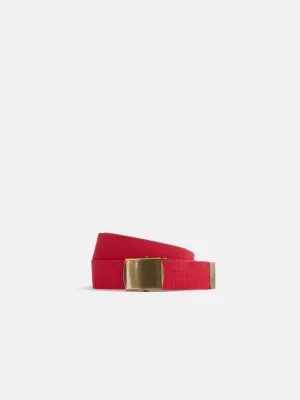 Solid Web Belt