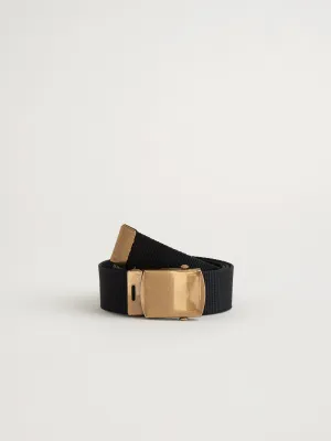Solid Web Belt