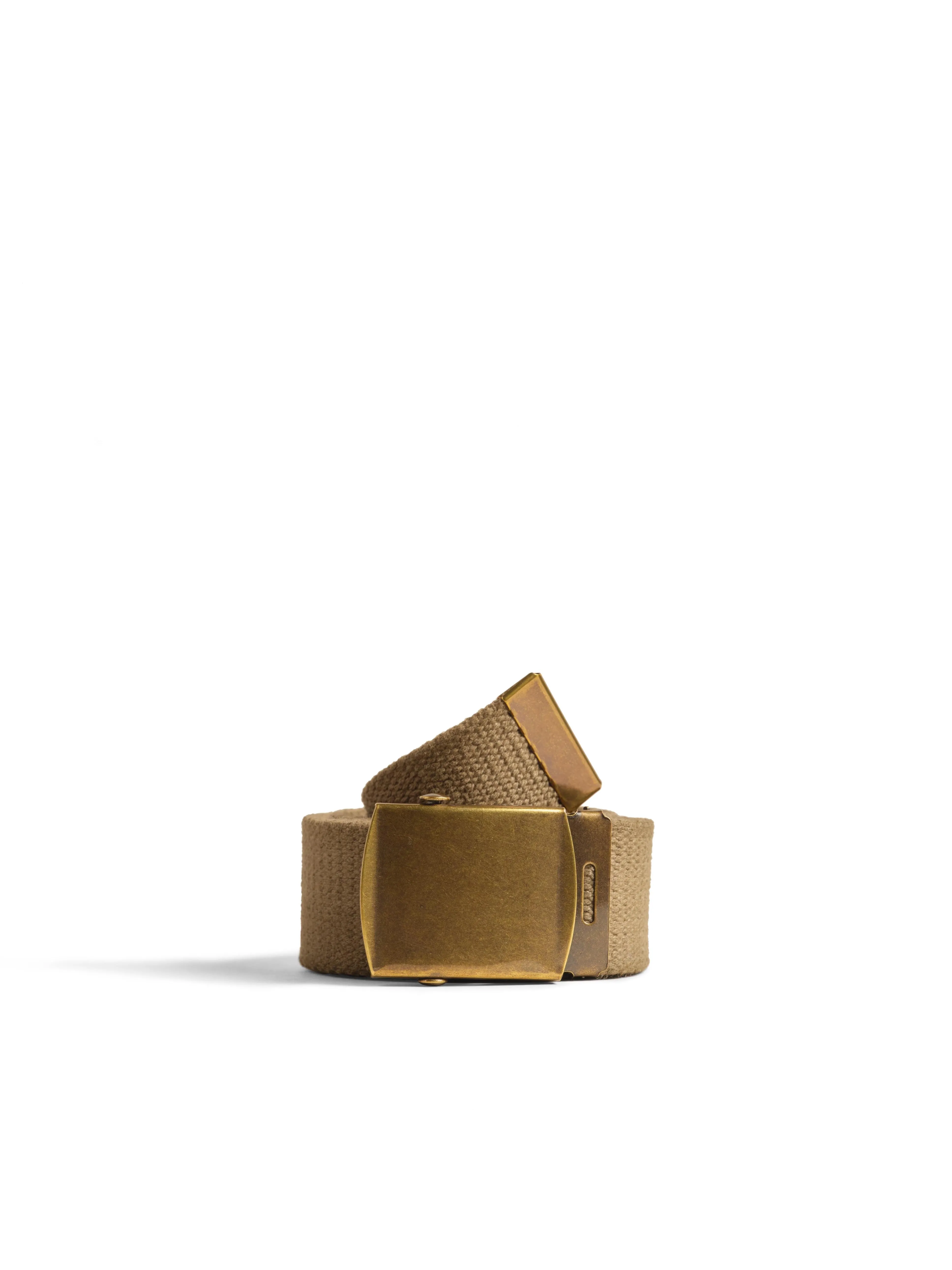 Solid Web Belt
