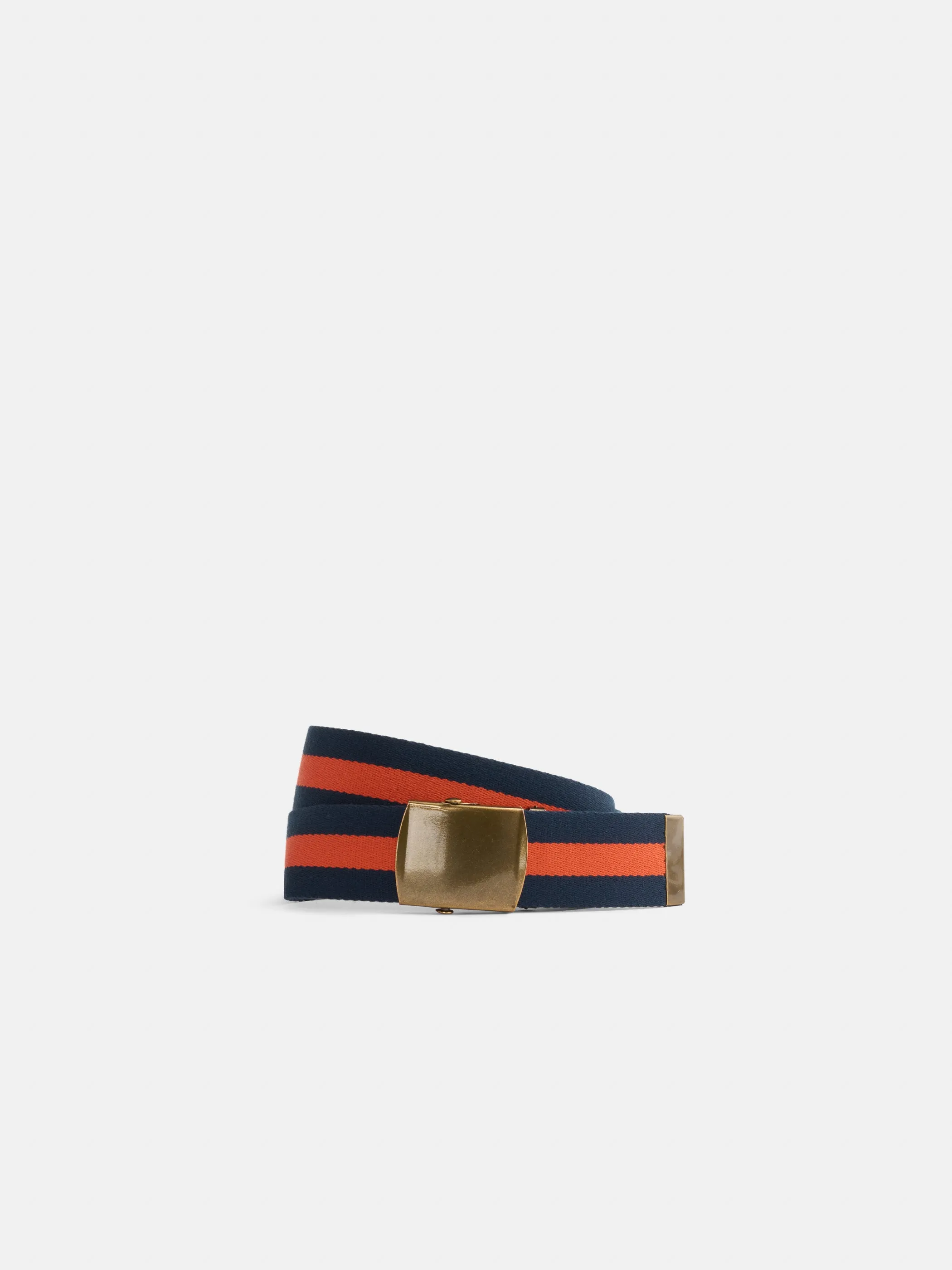 Striped Web Belt