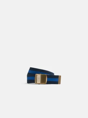Striped Web Belt