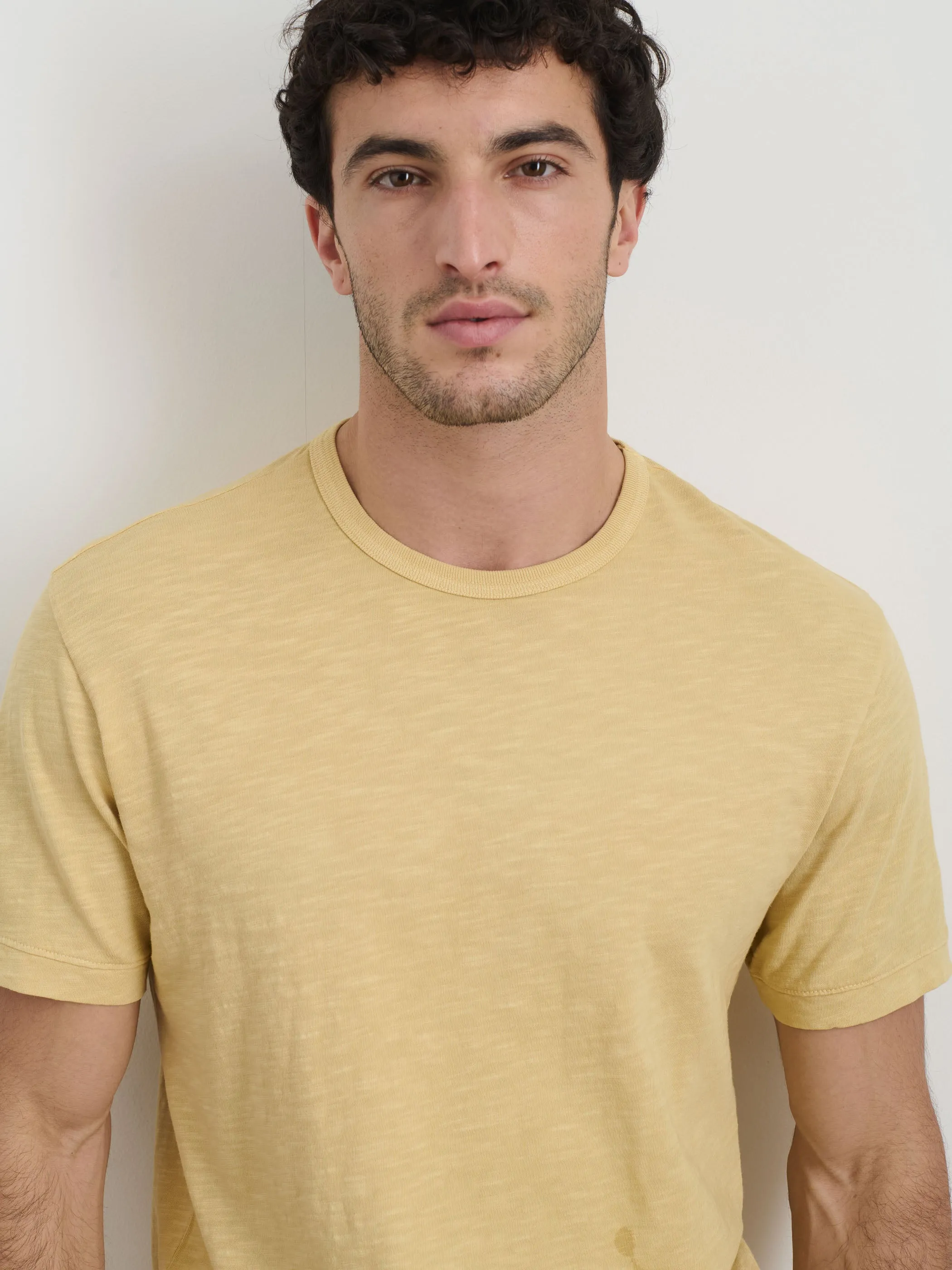 The Standard T-Shirt In Slub Cotton